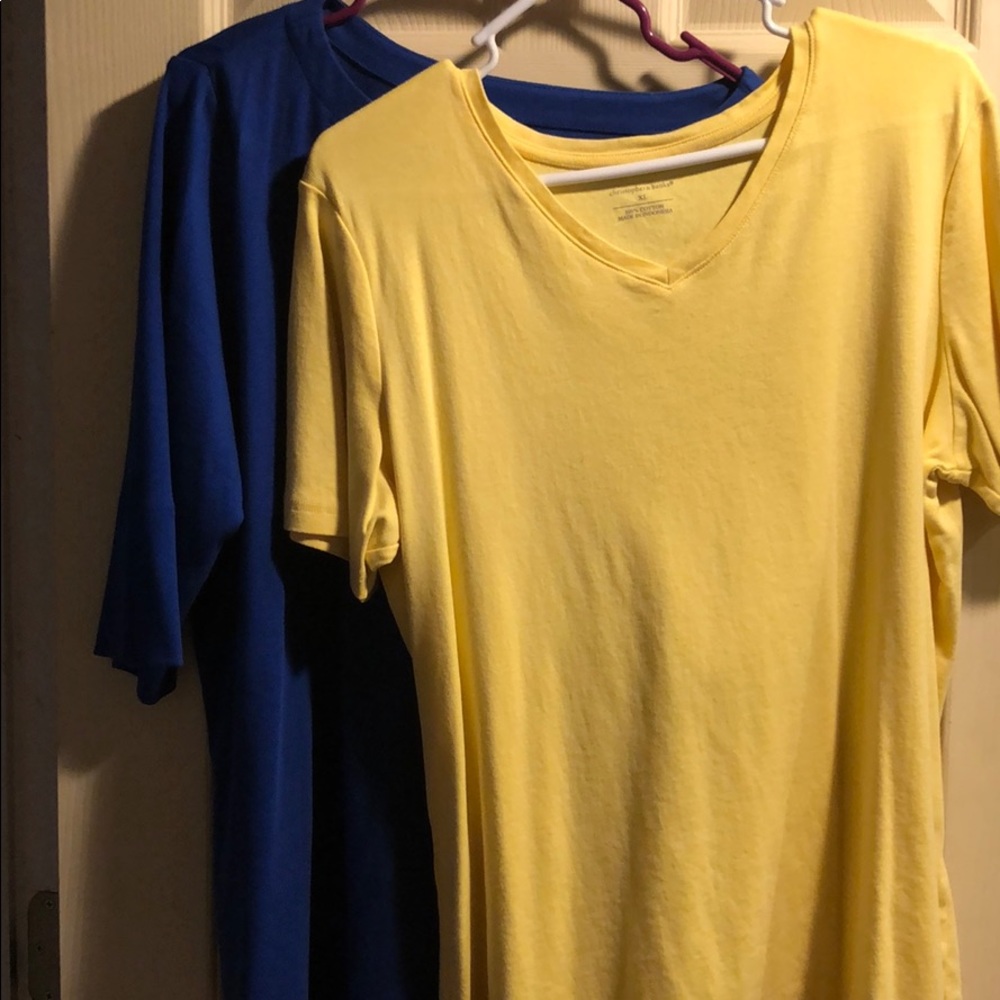 2-NWOT Christopher & Banks nice Blue & Yellow tops
